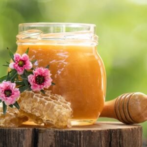 Indian Wild Honey